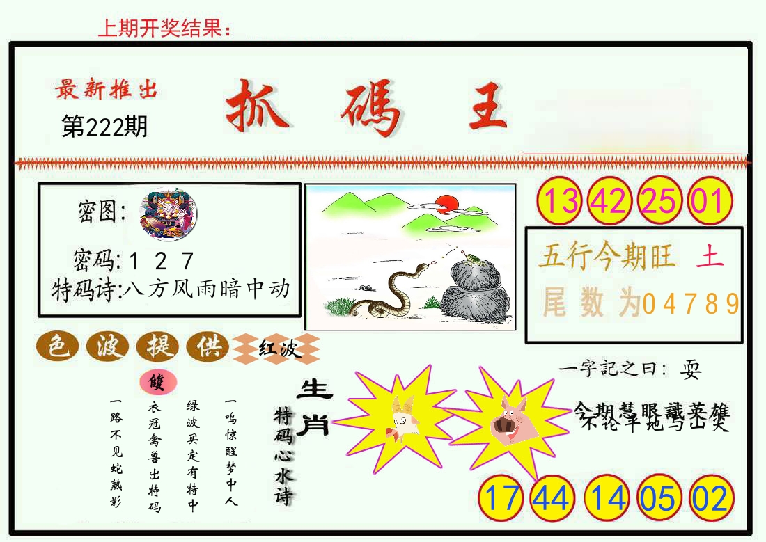 最新抓码王 第222期