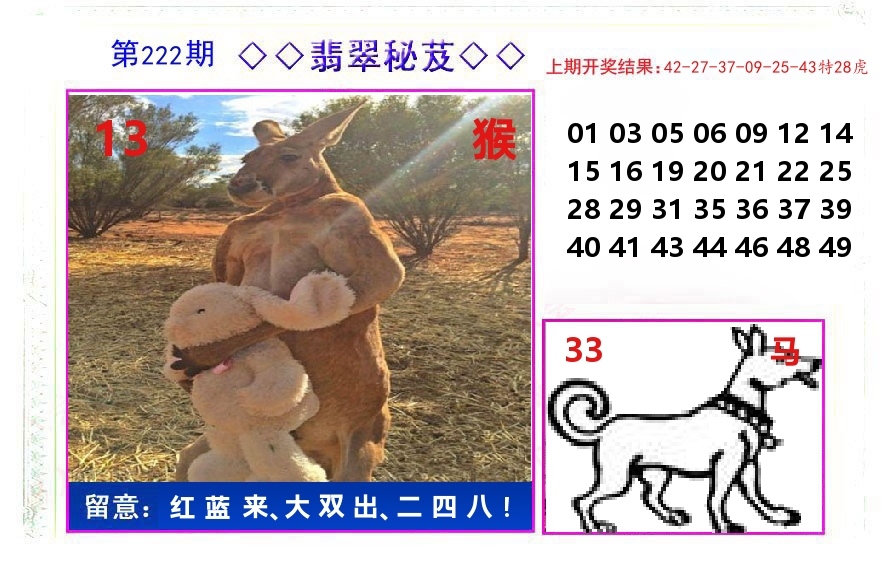 翡翠秘芨 第222期