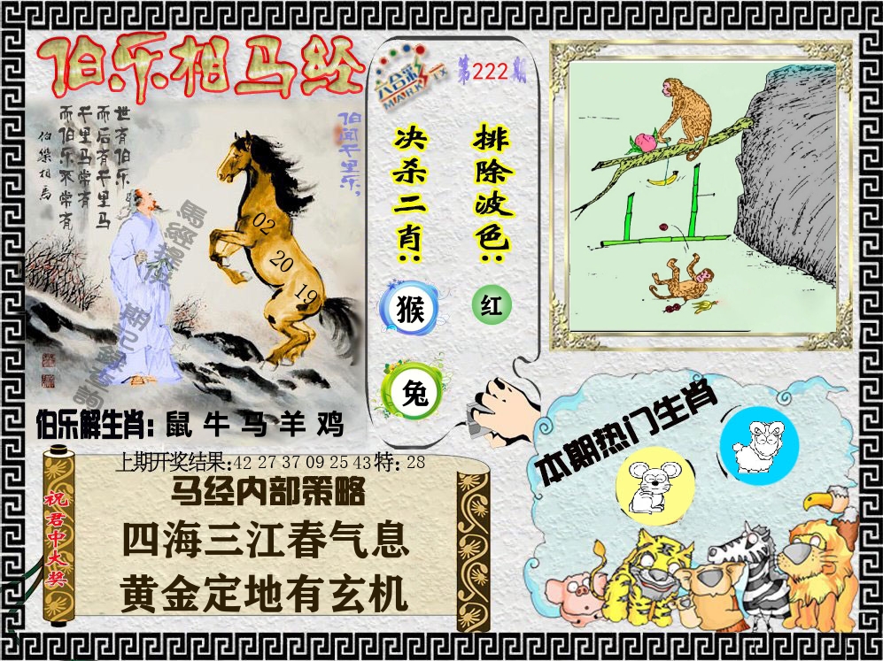 伯乐相马经 第222期