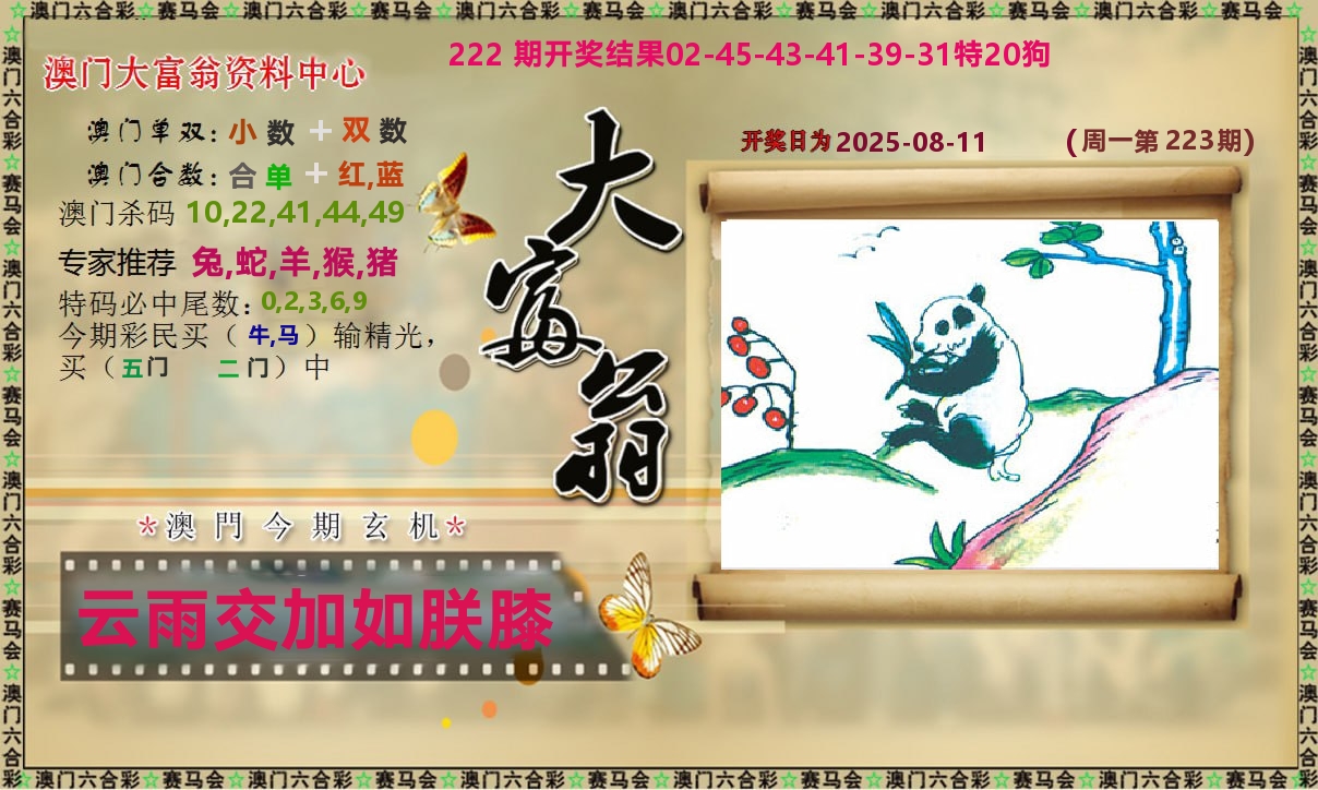 新大富翁 第223期