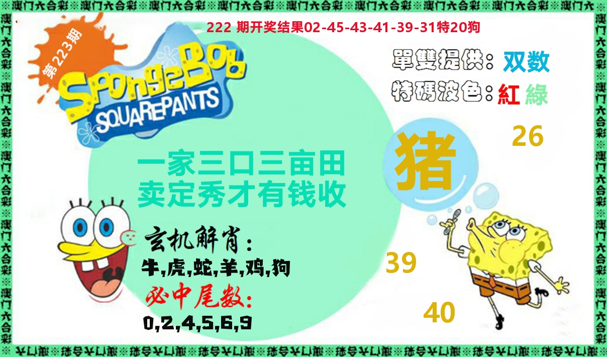新特码玄机 第223期