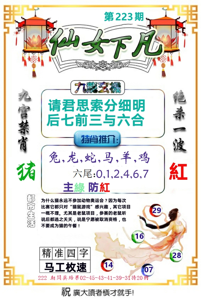仙女下凡 第223期