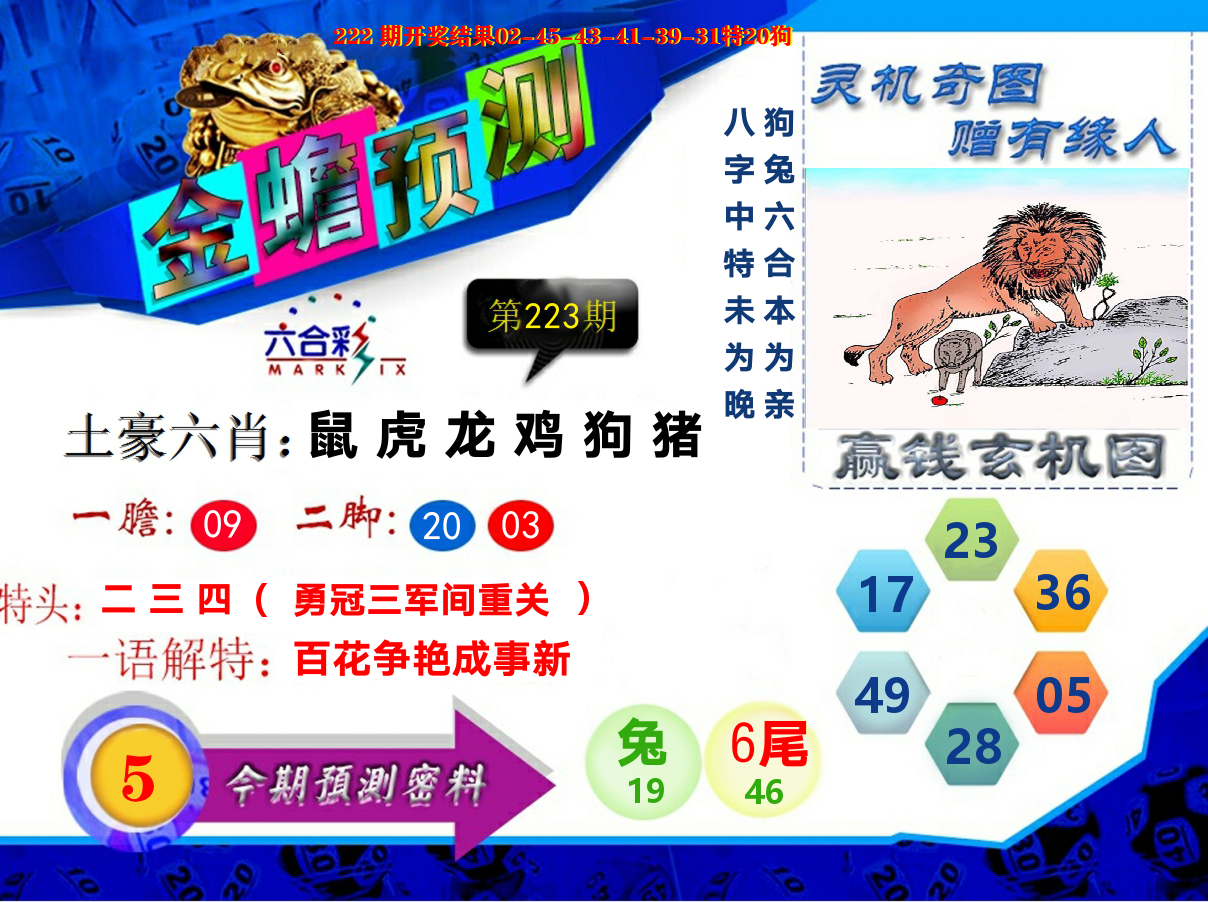 金蟾预测 第223期