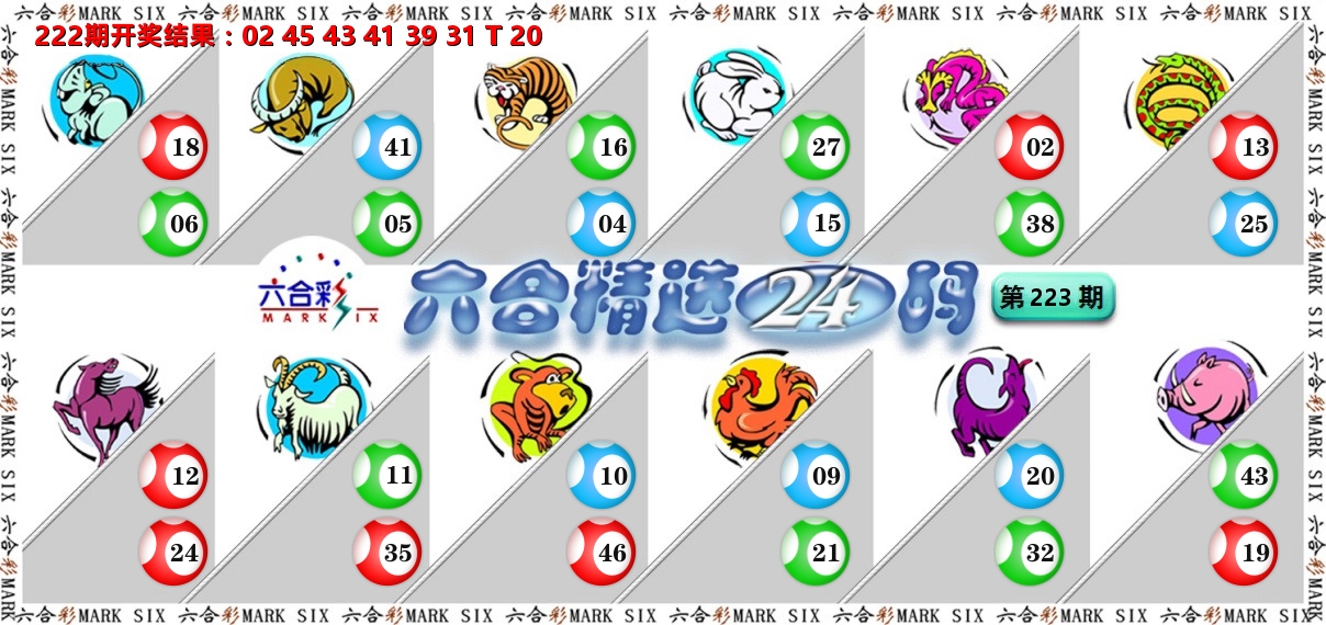 六合精选24码 第223期