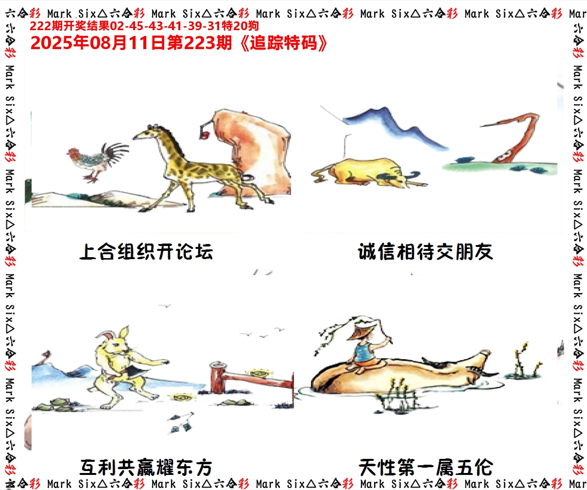 追踪特码 第223期