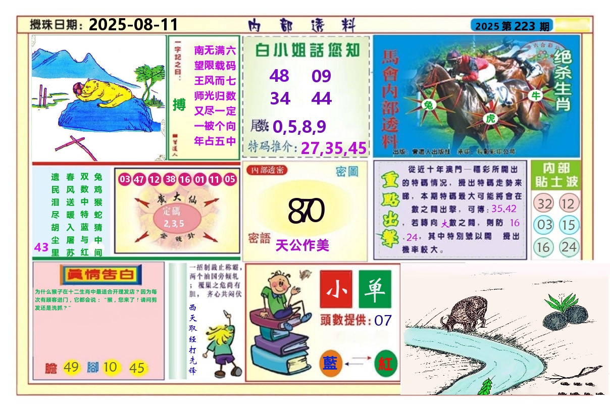 澳门内部透料A 第223期