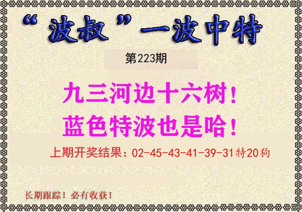 波叔中特 第223期
