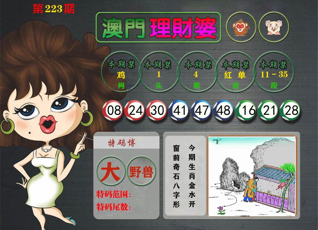 理财婆 第223期