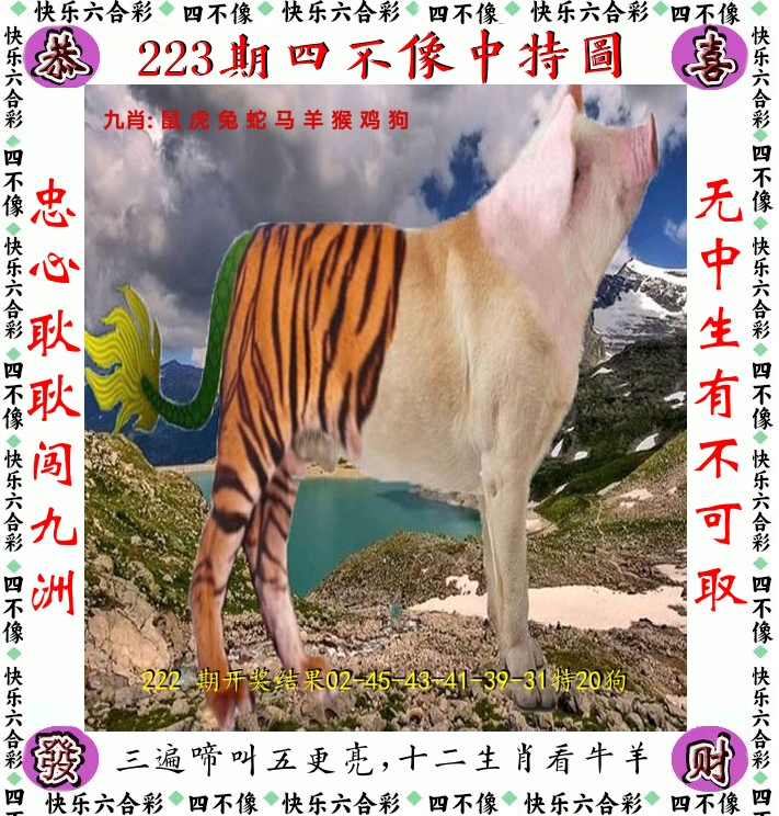四不像 第223期