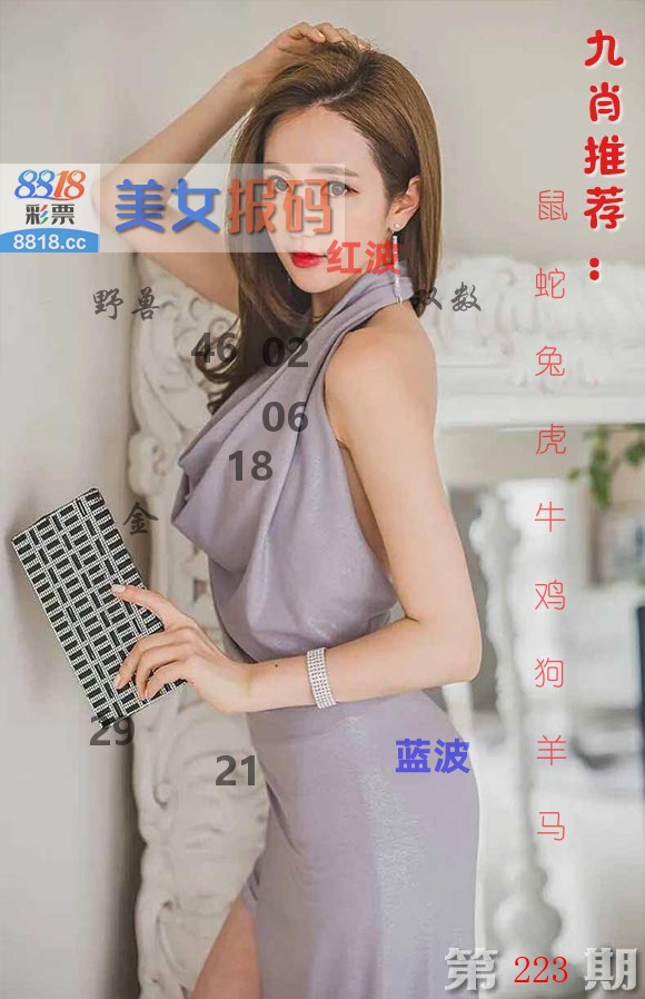 美女报码 第223期