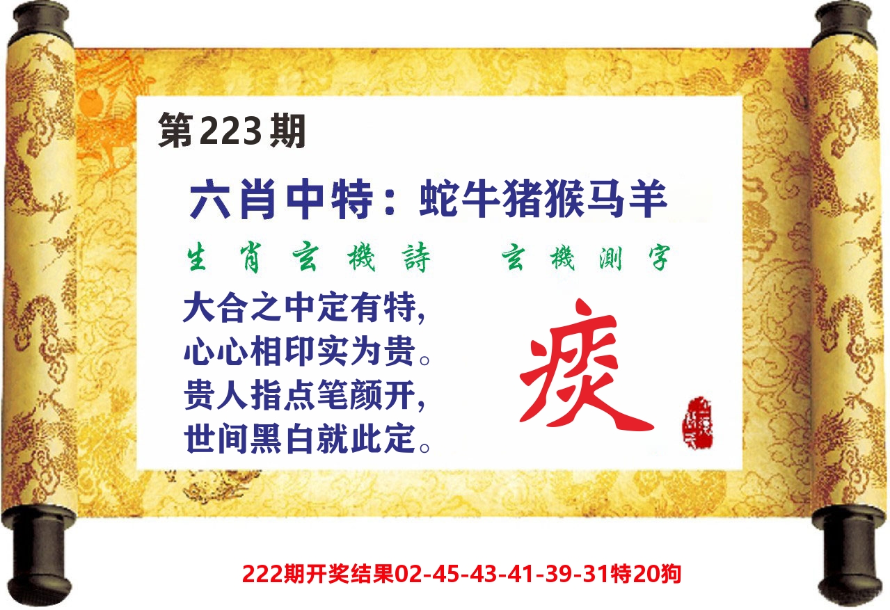 澳门天天赚C 第223期