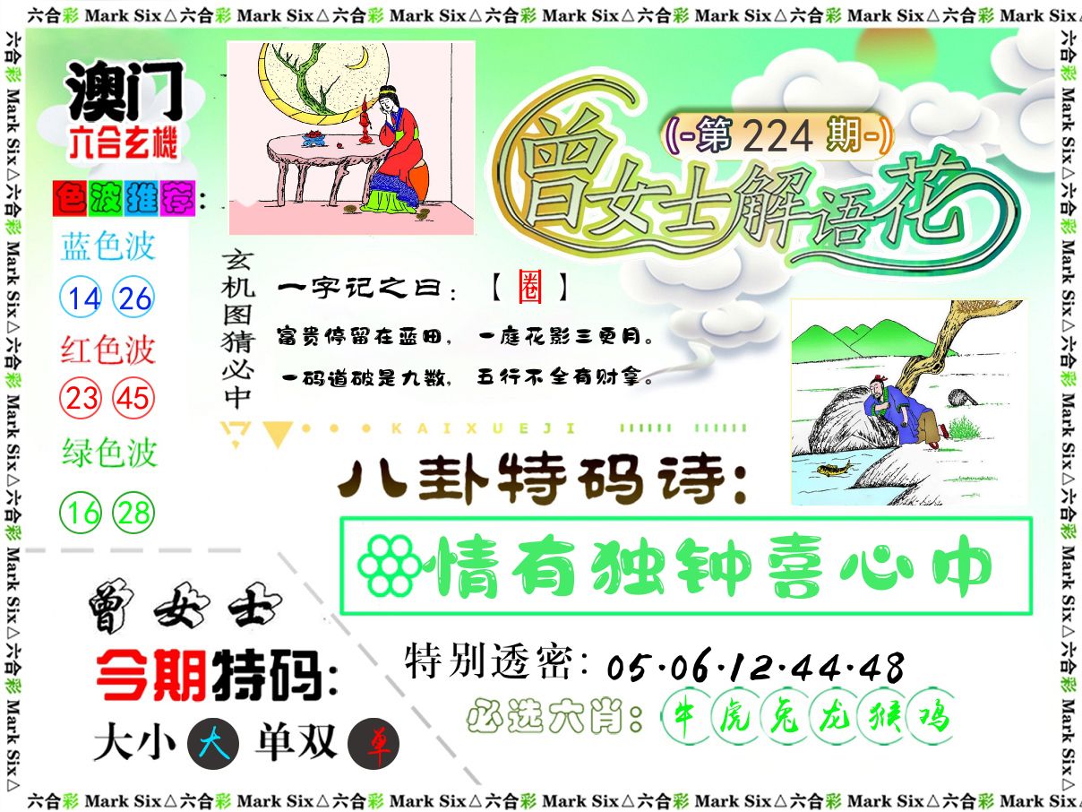 曾女士解语花 第224期