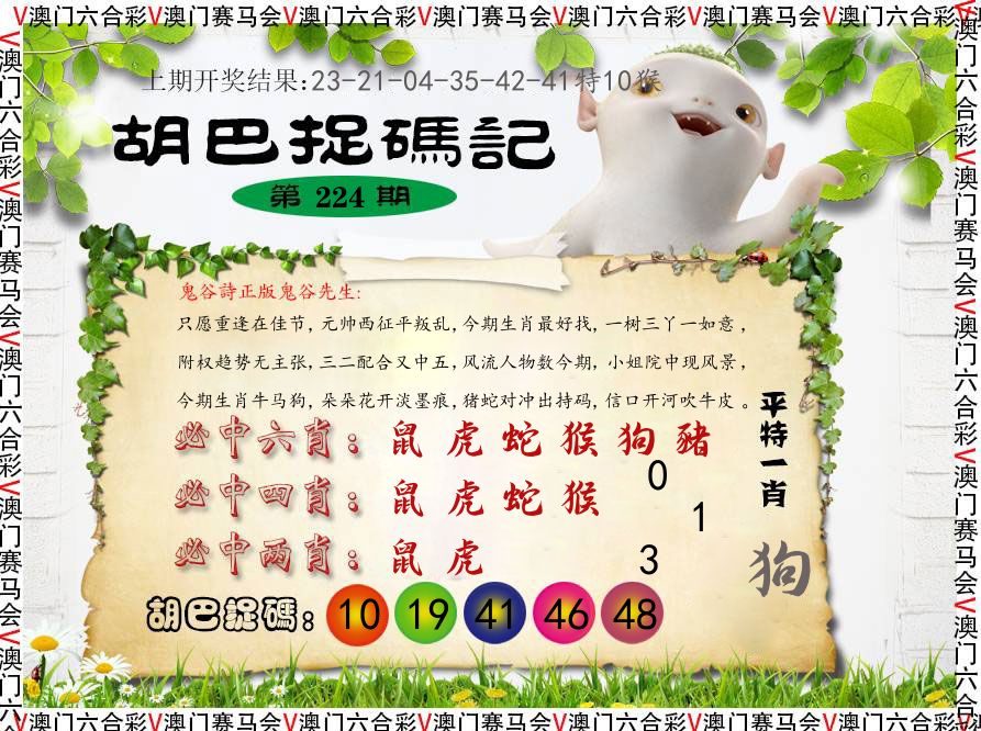 胡巴抓码记 第224期