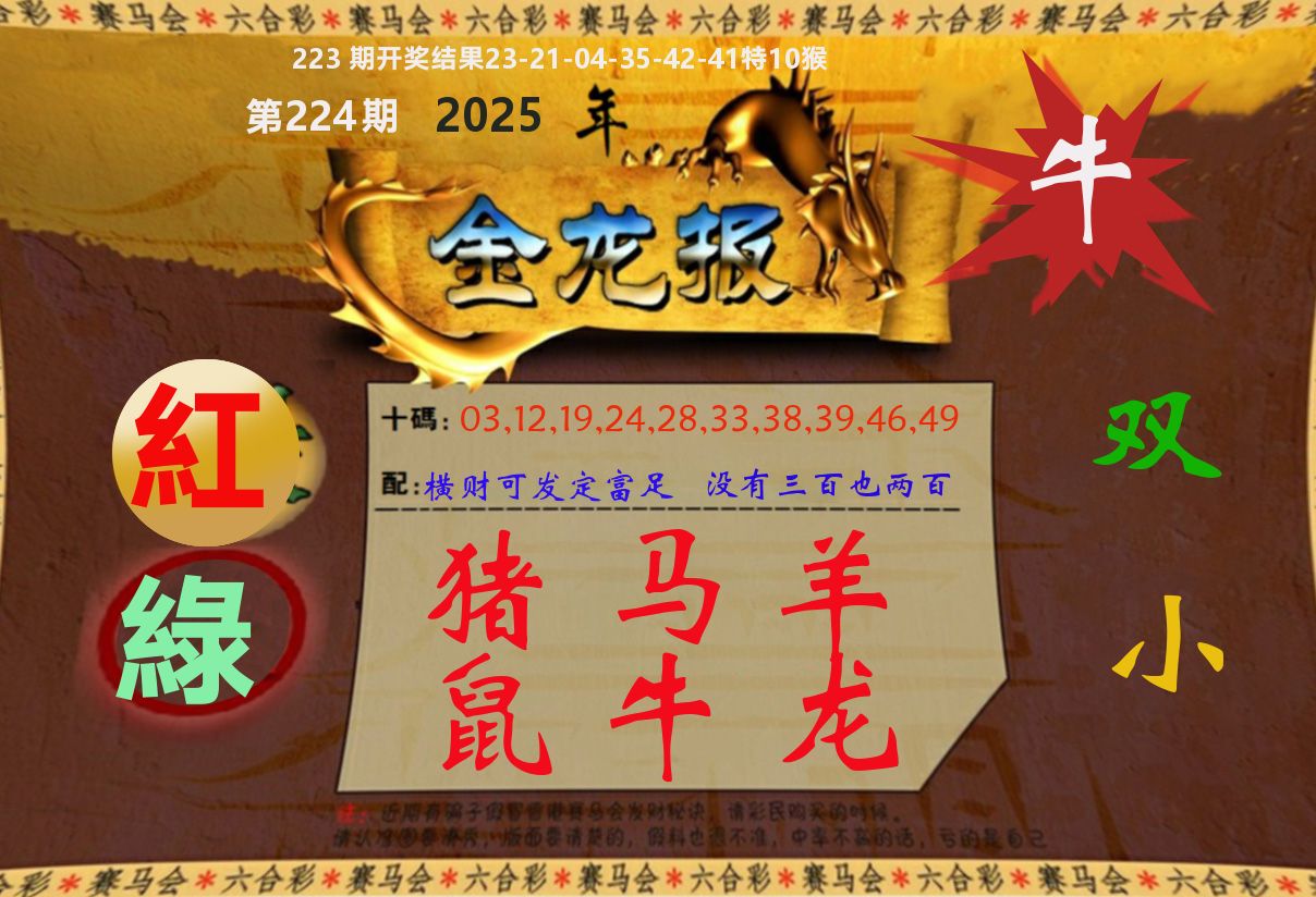 金龙报 第224期