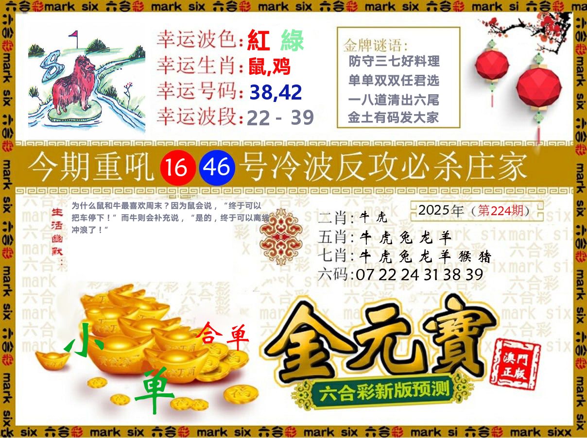 金元宝 第224期