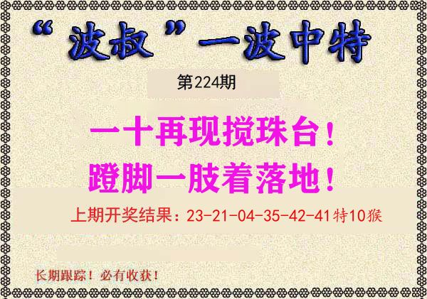 波叔中特 第224期