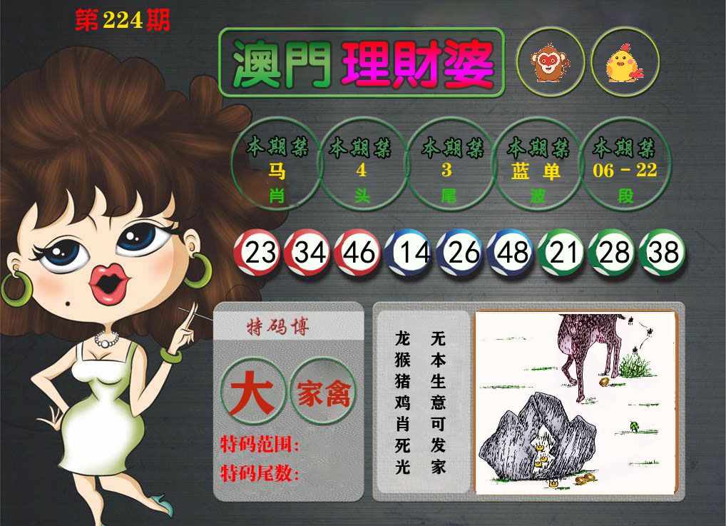 理财婆 第224期