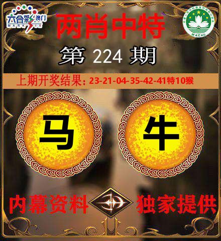 两肖中特 第224期
