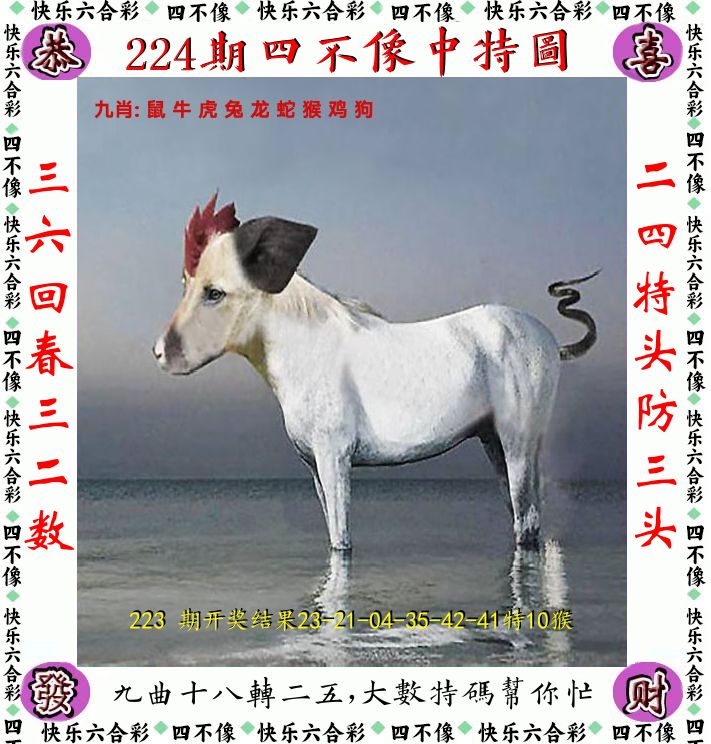 四不像 第224期