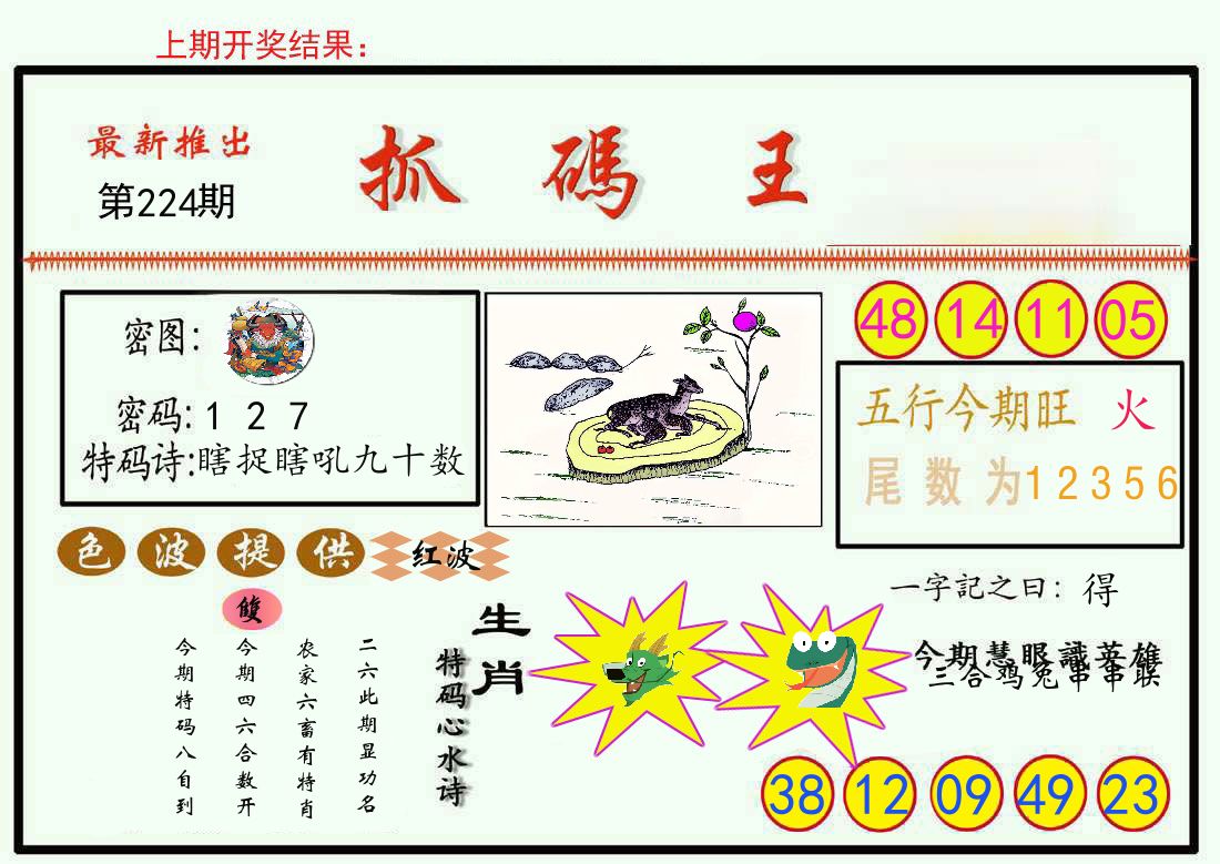 最新抓码王 第224期