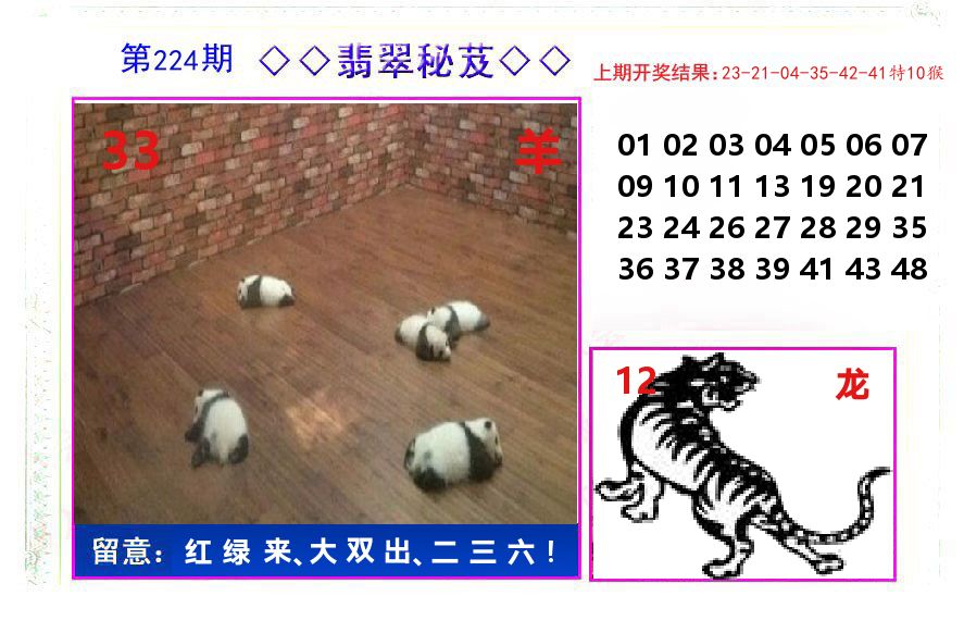 翡翠秘芨 第224期