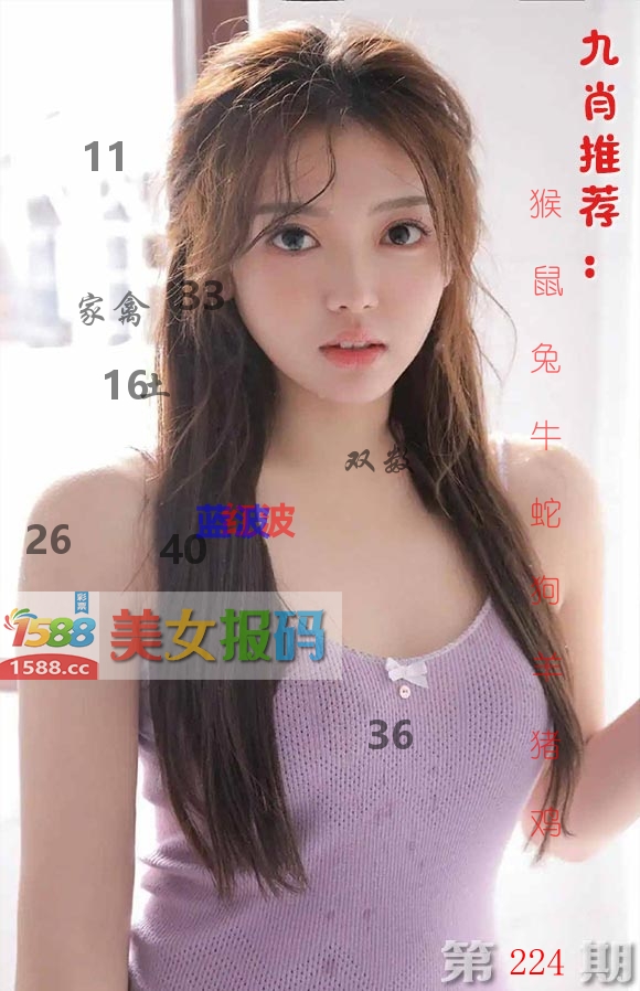 美女报码 第224期