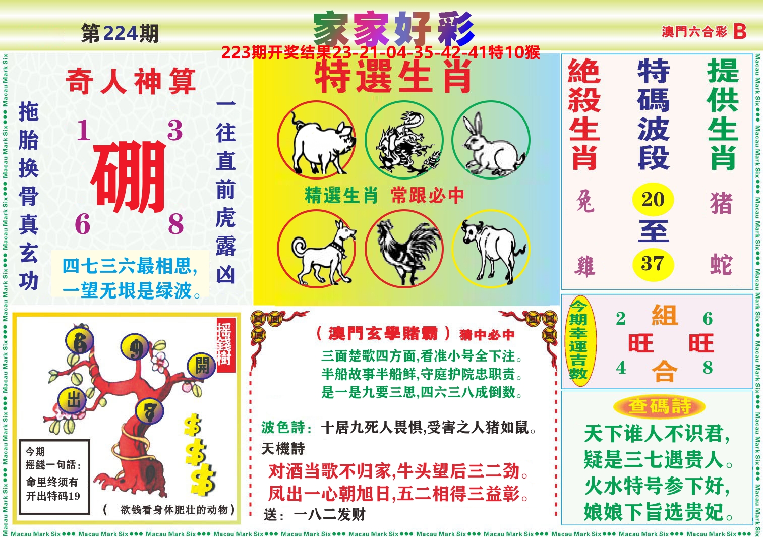 家家好彩B 第224期
