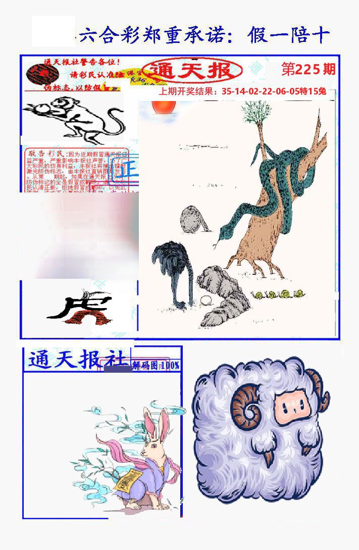 通天报 第225期