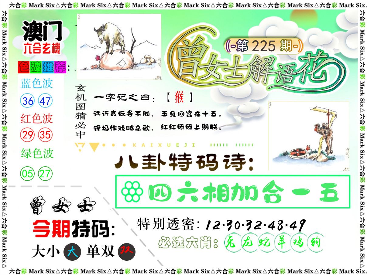曾女士解语花 第225期