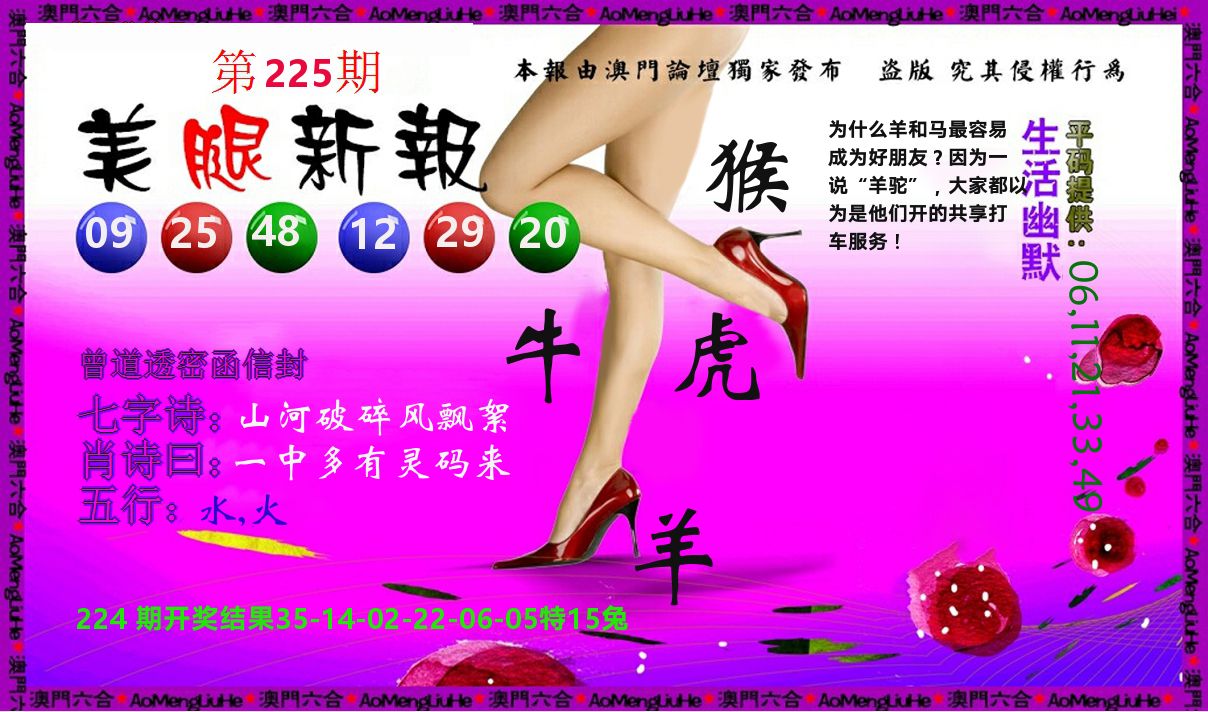 美腿新报 第225期