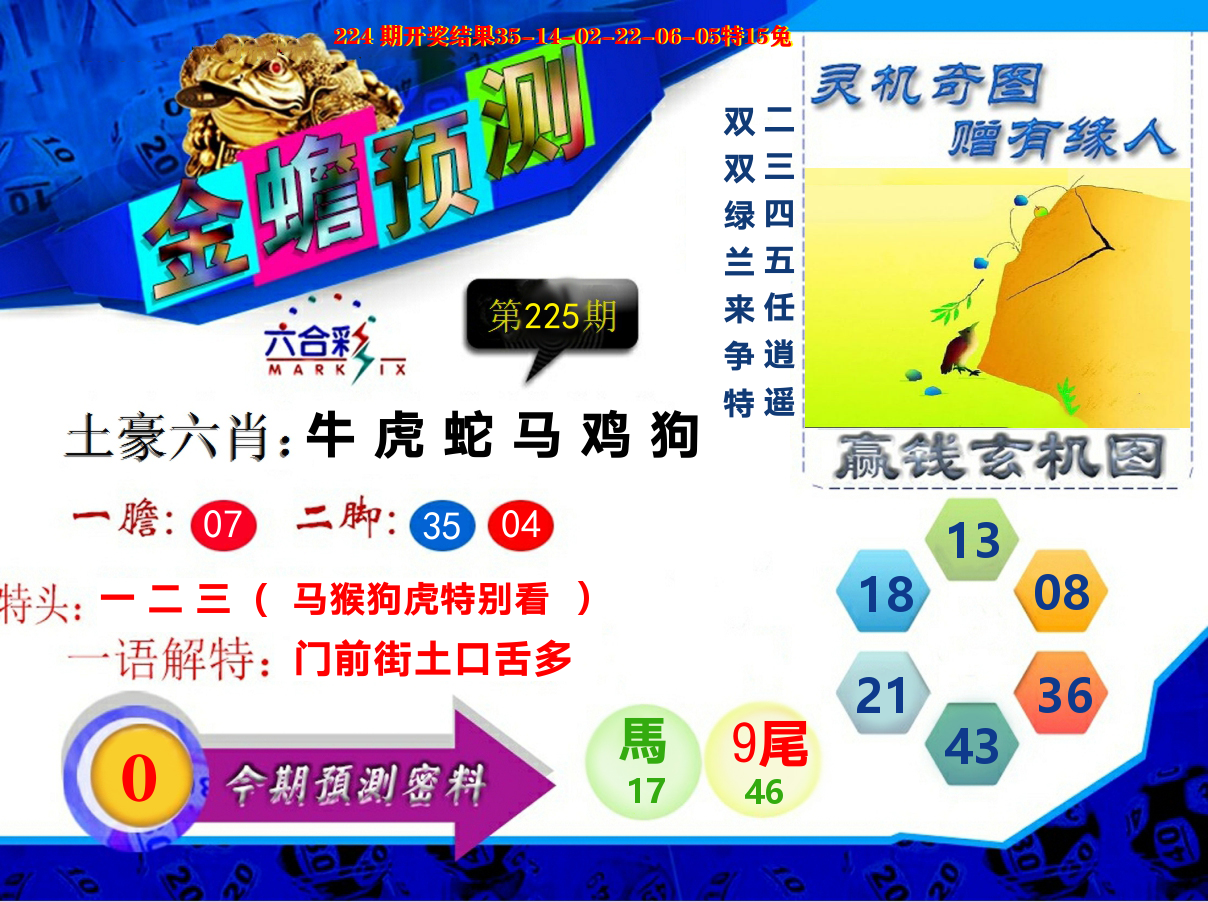 金蟾预测 第225期