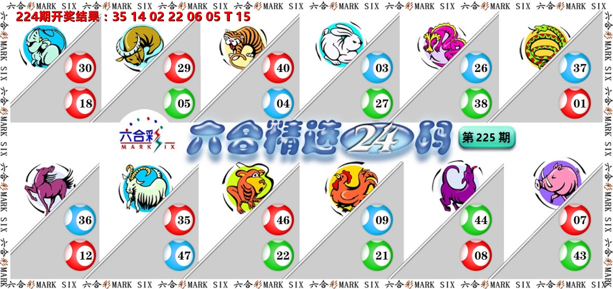 六合精选24码 第225期