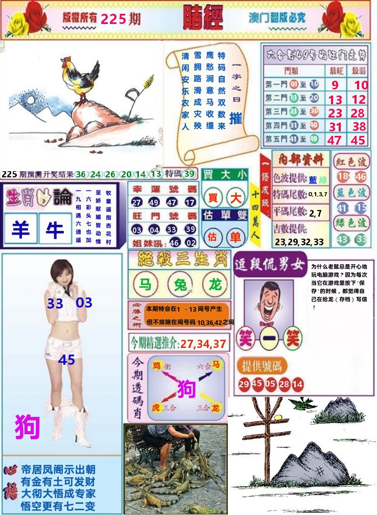 澳门赌经 第225期