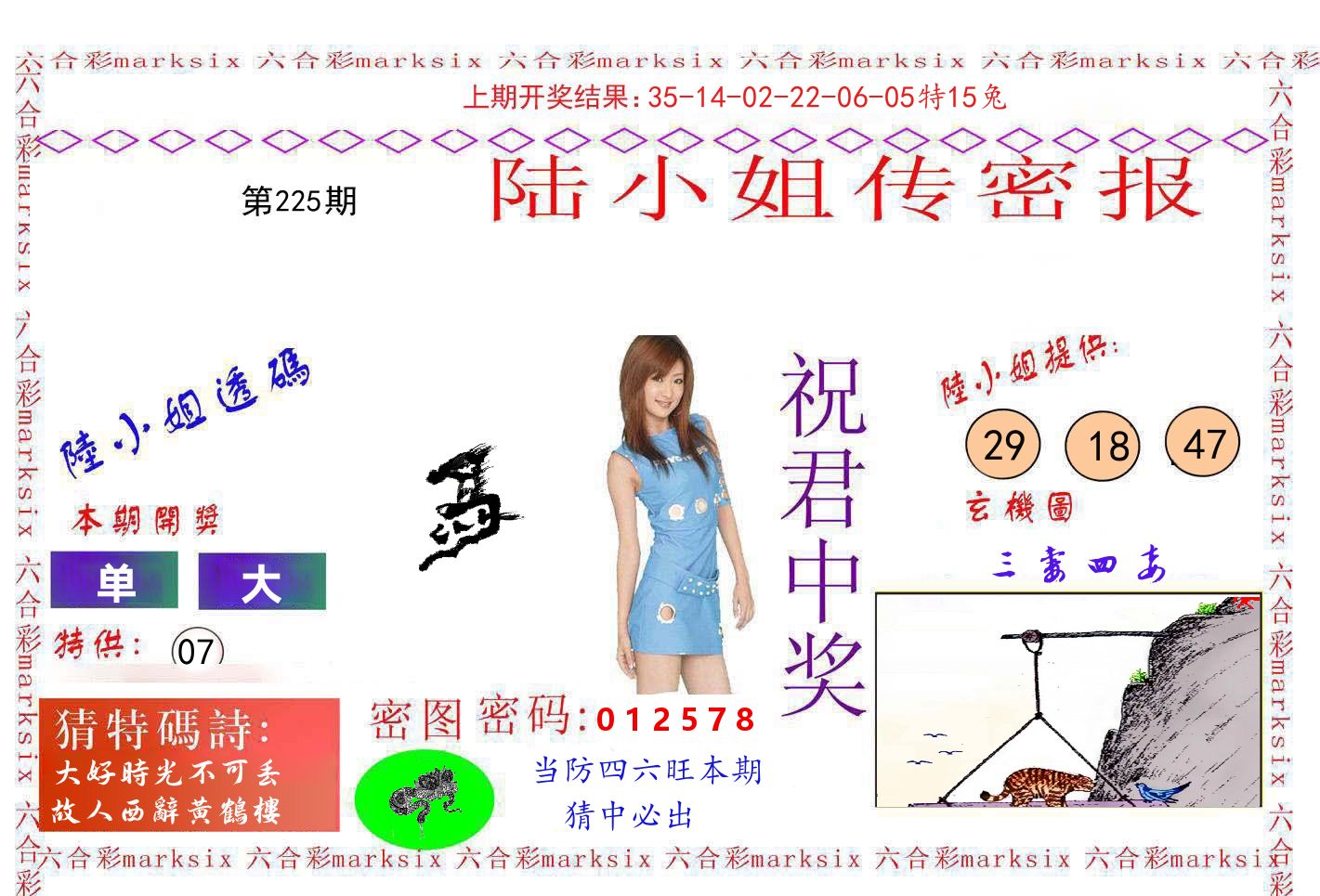 陆小姐密报 第225期