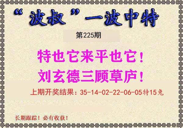 波叔中特 第225期