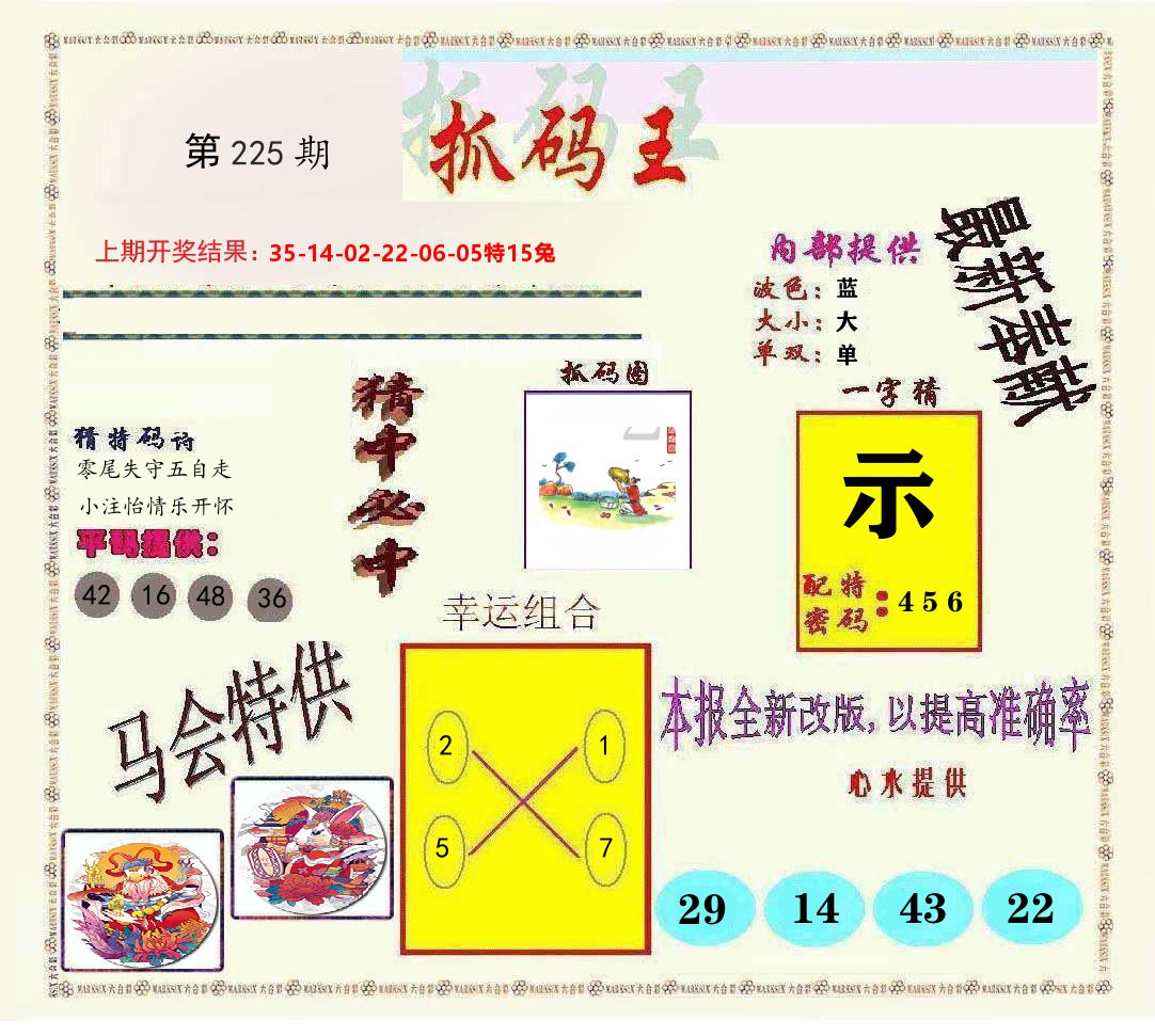 抓码王 第225期