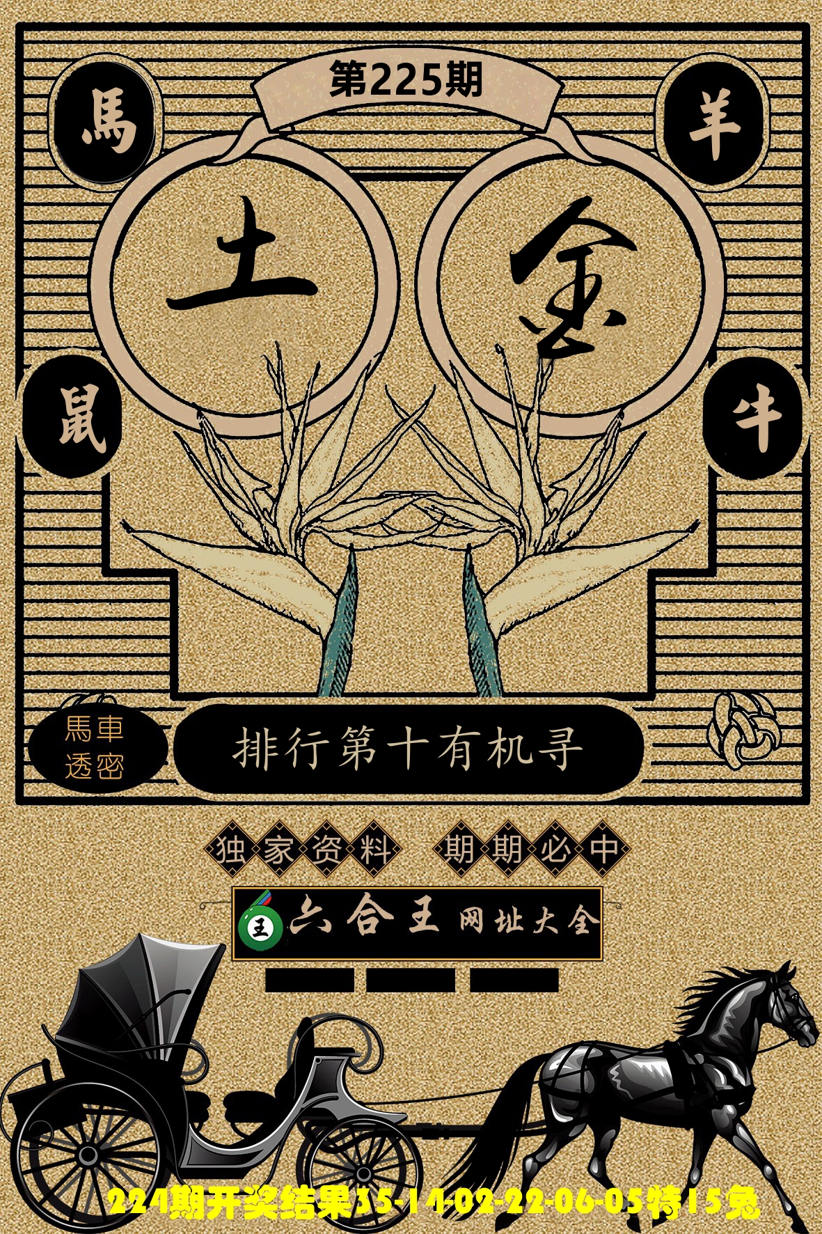六合王马车透密 第225期
