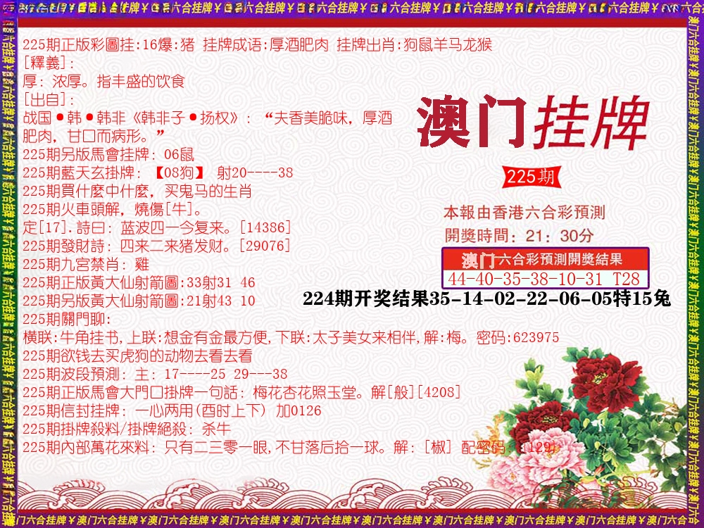 澳门挂牌 第225期