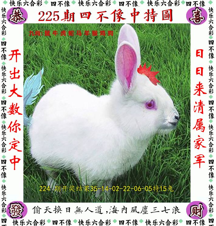 四不像 第225期