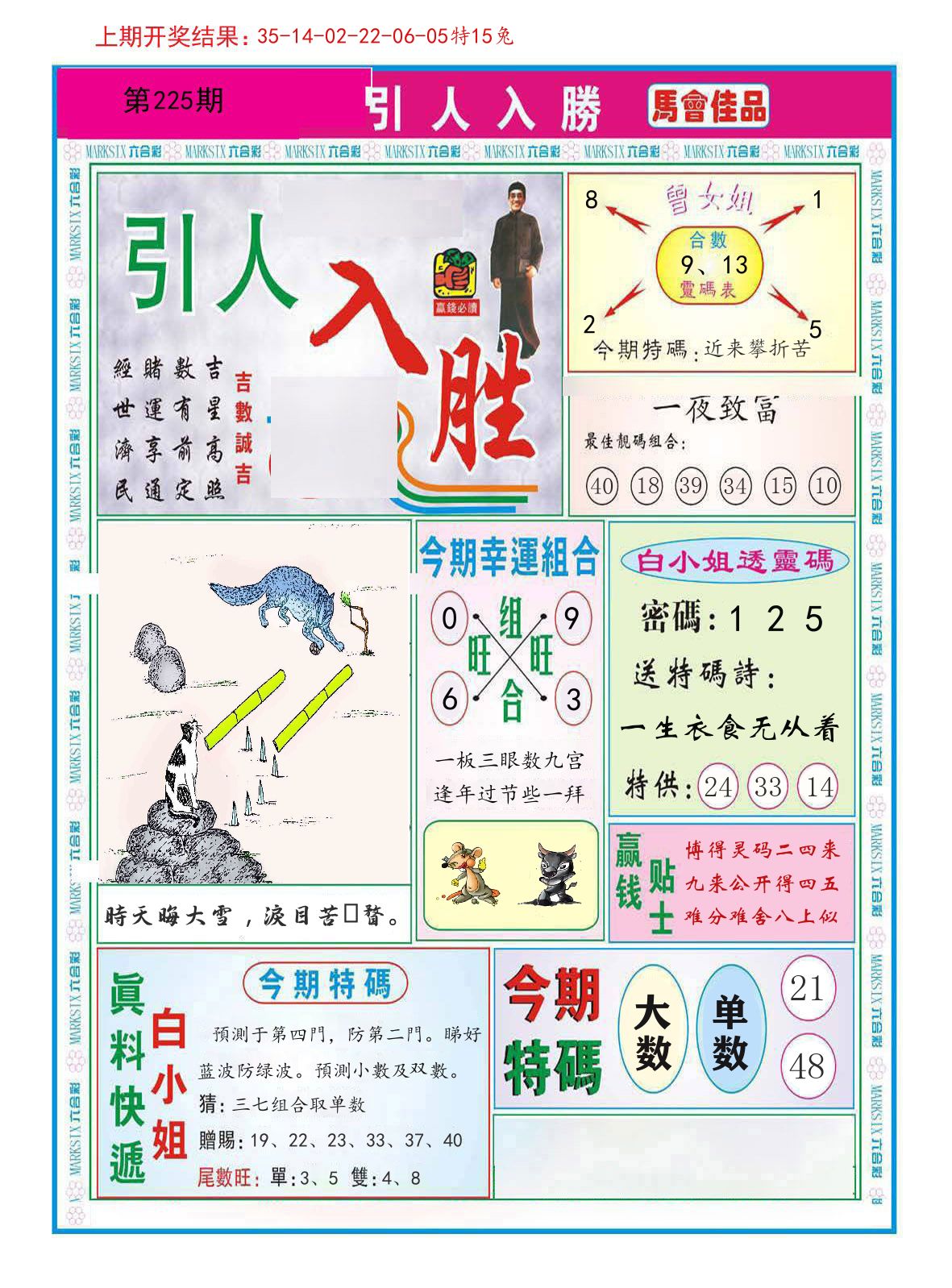 引人入胜 第225期