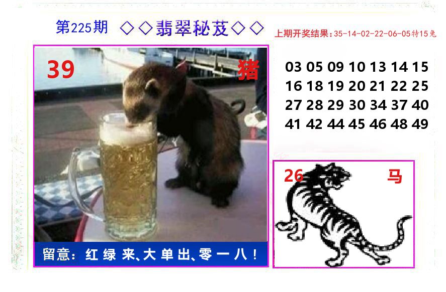 翡翠秘芨 第225期
