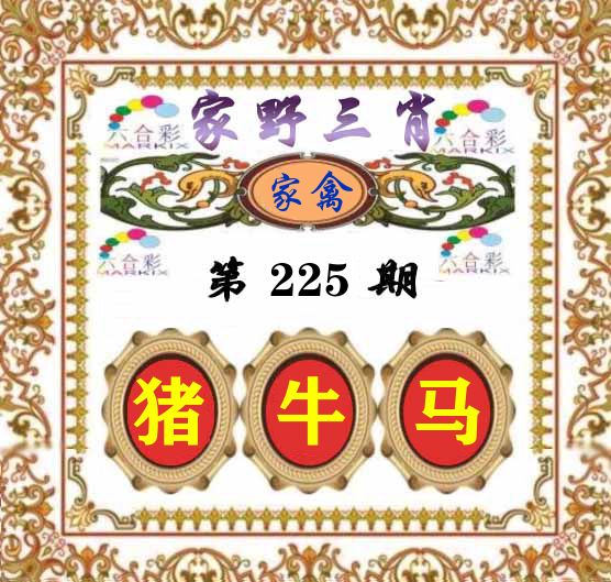 家野三肖 第225期