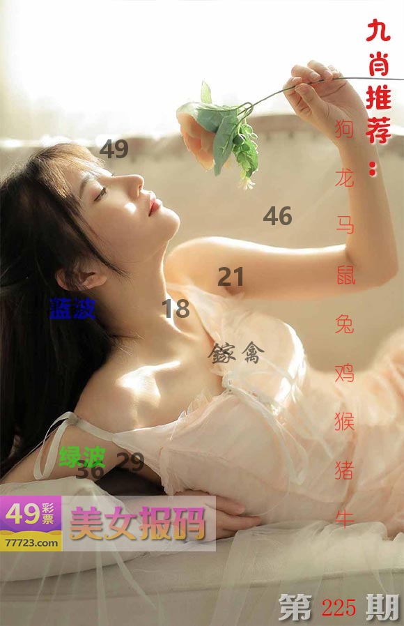 美女报码 第225期