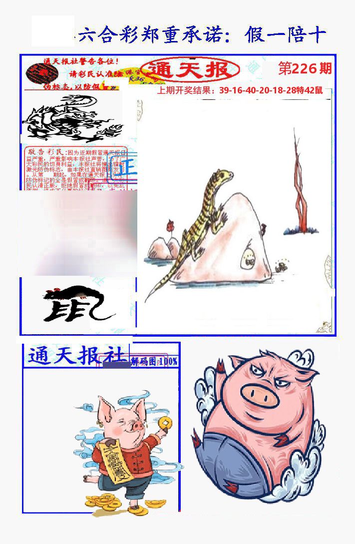 通天报 第226期