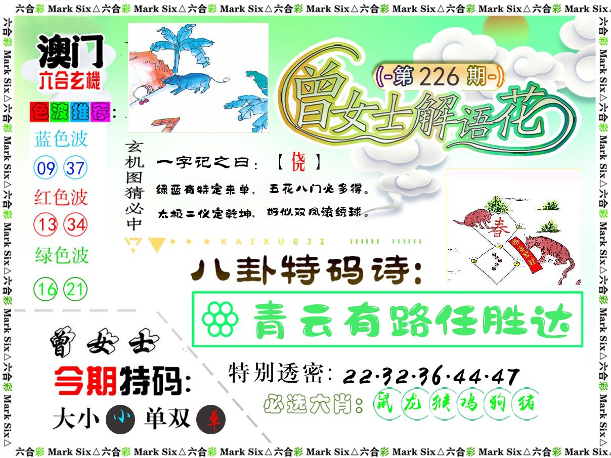曾女士解语花 第226期
