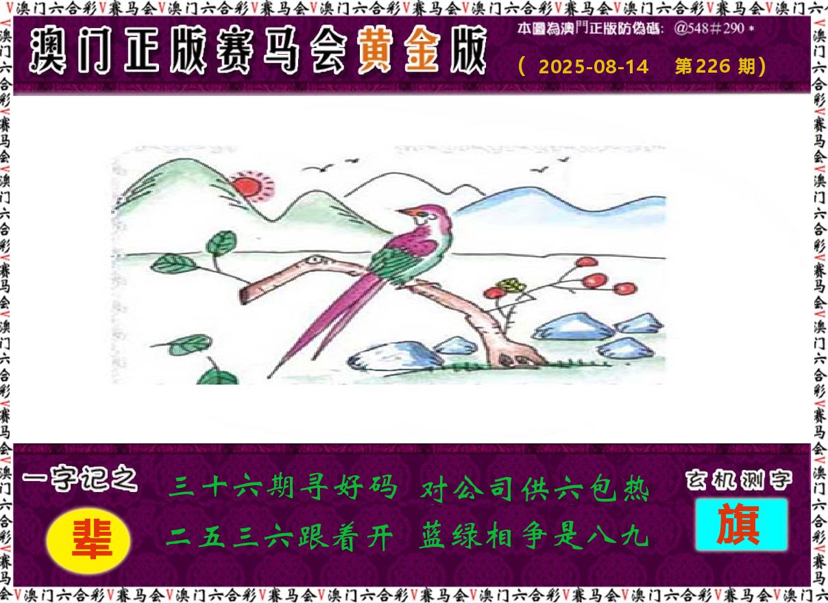 赛马会黄金版 第226期