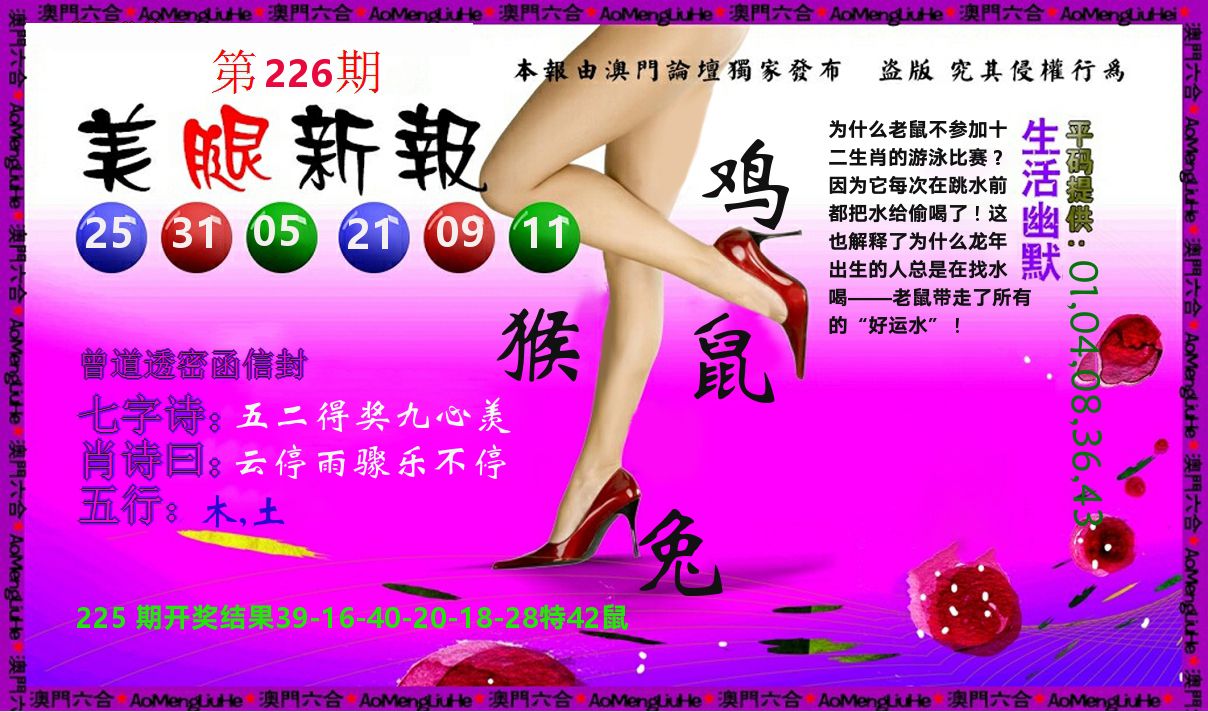 美腿新报 第226期