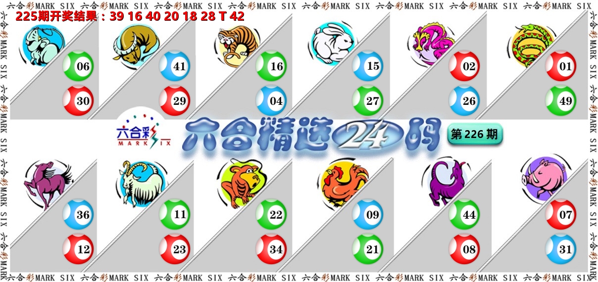六合精选24码 第226期