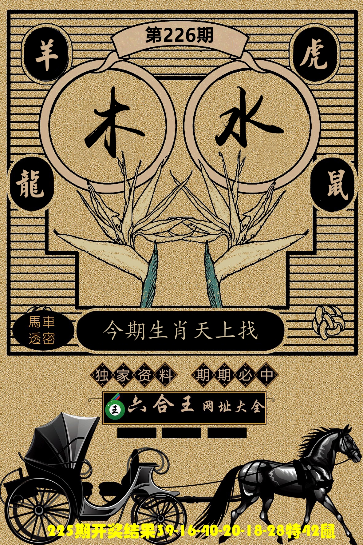 六合王马车透密 第226期