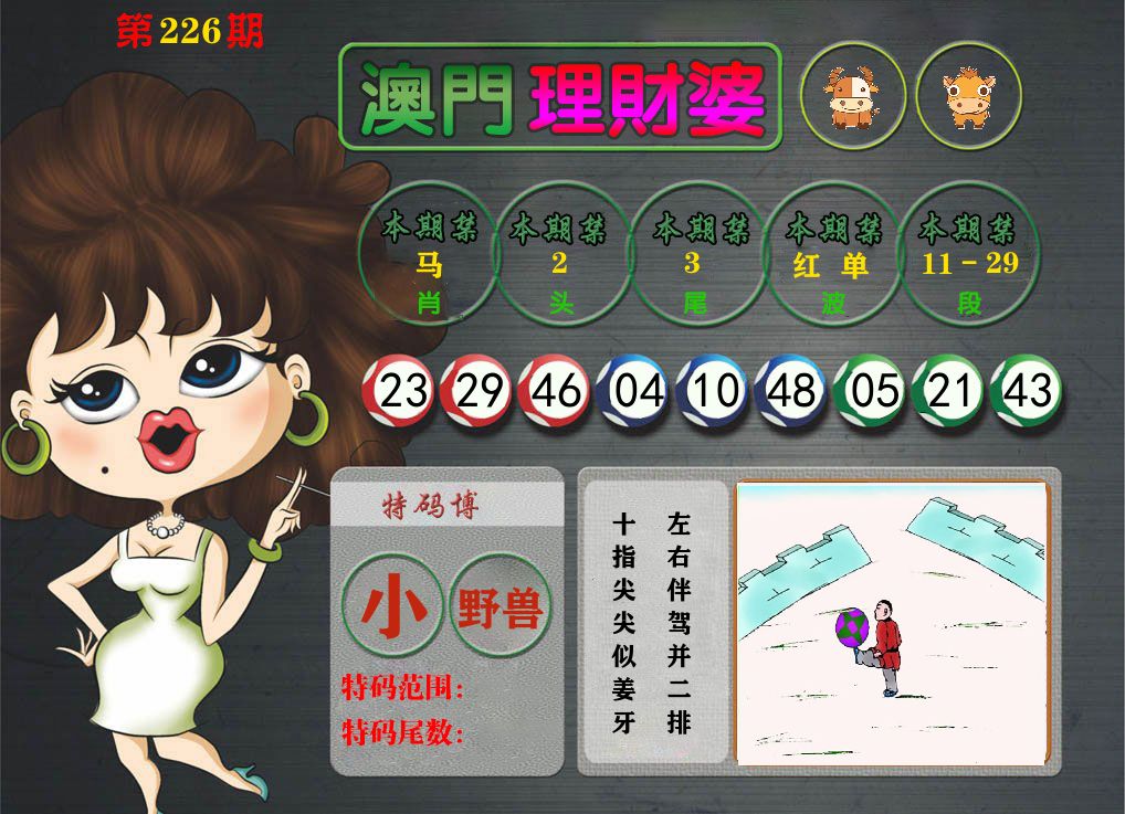 理财婆 第226期